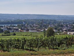 heiko_20240907_122604
