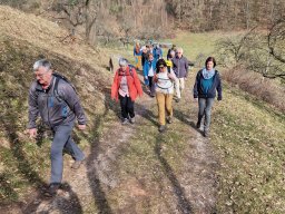 wolfgang_20260308_115036